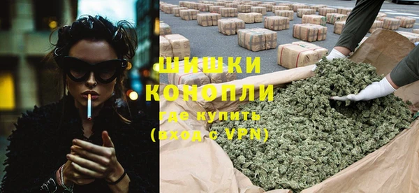сатива Зеленокумск
