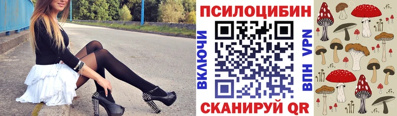 Галлюциногенные грибы мицелий  Купить где  Малоархангельск 